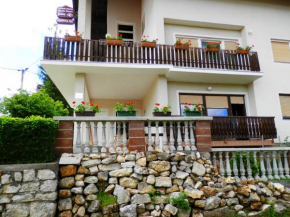  Apartment Marija Zupan  Раковица
